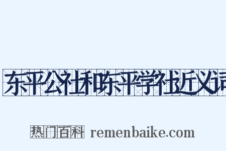 东平公社和东平学社近义词是什么意思的图片